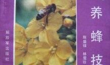 养蜂技术爆料视频